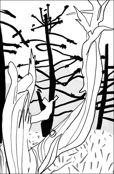 장병언, Digital Drawing, digital_work, 2026